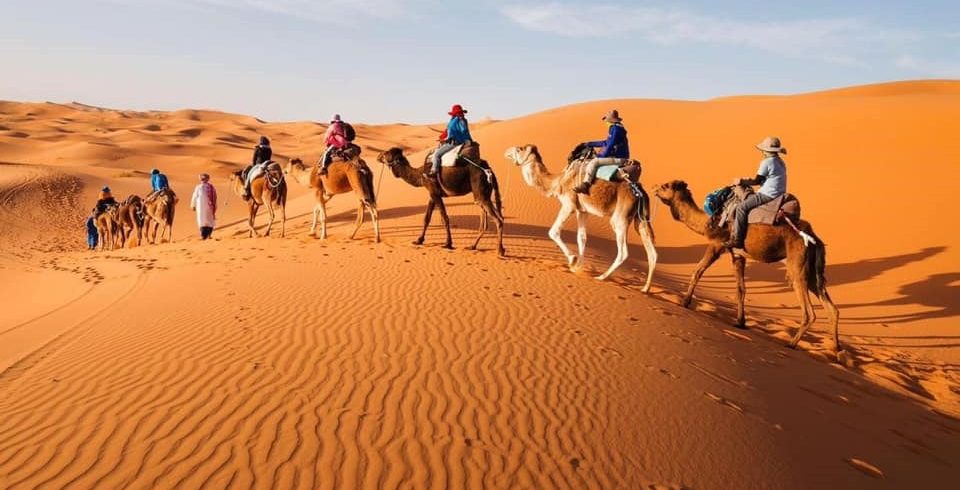 ouarzazate,mhamid,Desert Camp