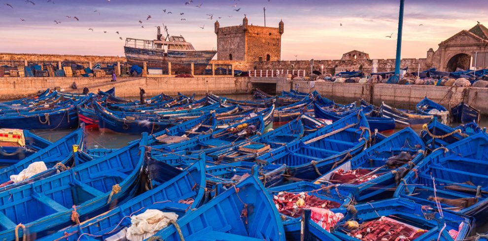 Essaouira Day Trip